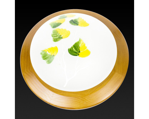 Купить Накладной светильник TOPLIGHT TL9461Y-01OA| VIVID-LIGHT.RU