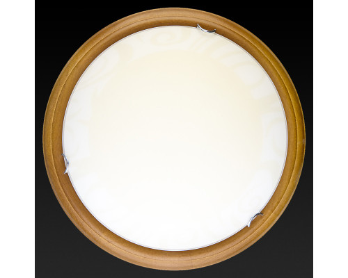 Купить Накладной светильник TOPLIGHT TL9620Y-00OA| VIVID-LIGHT.RU