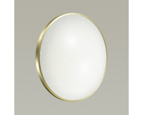 Заказать Накладной светильник Sonex 2089/CL| VIVID-LIGHT.RU