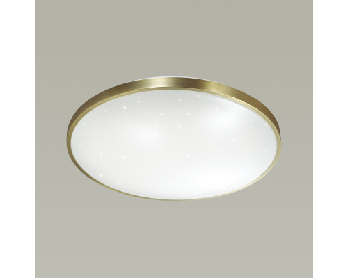 Сделать заказ Накладной светильник Sonex 2089/DL| VIVID-LIGHT.RU