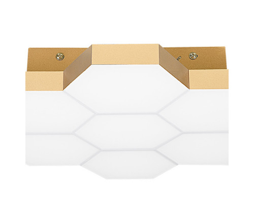 Сделать заказ Накладной светильник Lightstar 750071| VIVID-LIGHT.RU