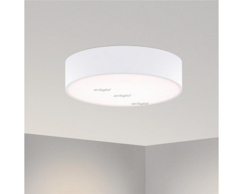 Оформить заказ Накладной светильник Arlight 022104(1)| VIVID-LIGHT.RU