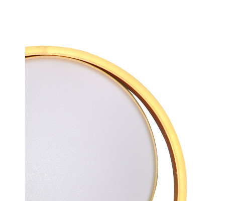 Оформить заказ Накладной светильник Natali Kovaltseva LED LAMPS 81304| VIVID-LIGHT.RU