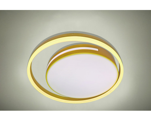 Оформить заказ Накладной светильник Natali Kovaltseva LED LAMPS 81304| VIVID-LIGHT.RU