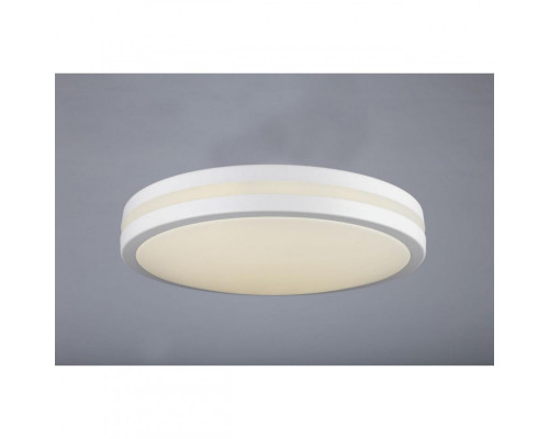 Заказать Накладной светильник Omnilux OML-43407-34| VIVID-LIGHT.RU