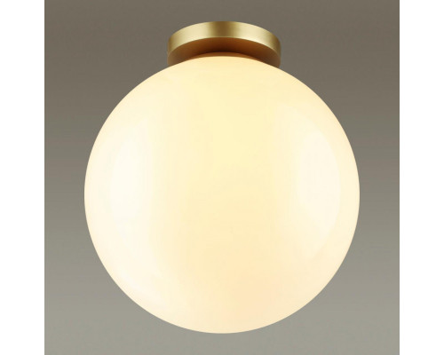 Сделать заказ Накладной светильник Odeon Light 4249/1C| VIVID-LIGHT.RU