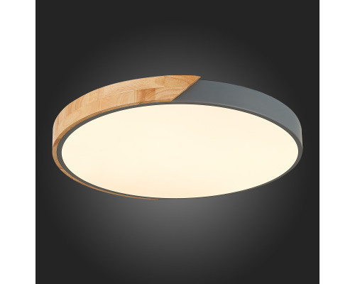 Купить Накладной светильник Evoluce SLE200972-01| VIVID-LIGHT.RU