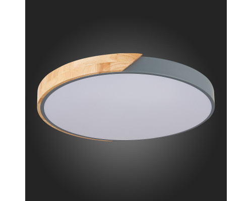 Купить Накладной светильник Evoluce SLE200972-01| VIVID-LIGHT.RU