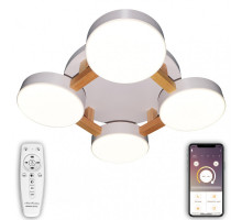 Накладной светильник Natali Kovaltseva LED LAMPS 81325