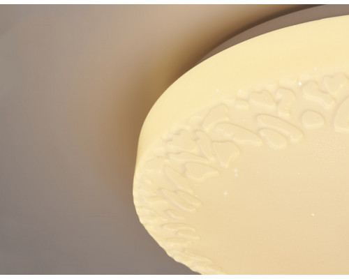 Купить Накладной светильник Ambrella Light FF22| VIVID-LIGHT.RU