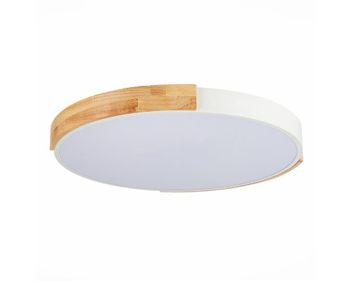 Купить Накладной светильник Evoluce SLE201352-01| VIVID-LIGHT.RU