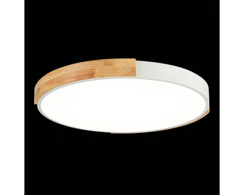 Купить Накладной светильник Evoluce SLE201352-01| VIVID-LIGHT.RU