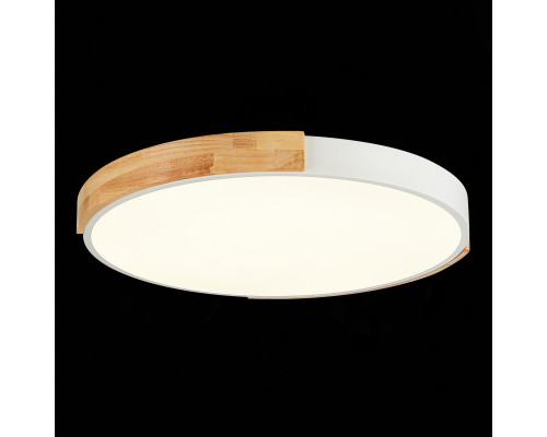 Купить Накладной светильник Evoluce SLE201352-01| VIVID-LIGHT.RU