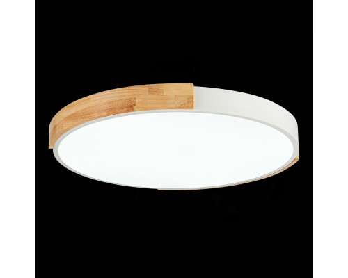 Купить Накладной светильник Evoluce SLE201352-01| VIVID-LIGHT.RU