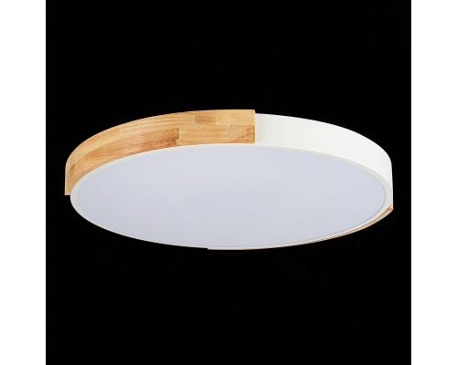 Купить Накладной светильник Evoluce SLE201352-01| VIVID-LIGHT.RU