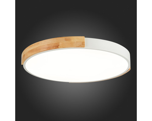 Купить Накладной светильник Evoluce SLE201352-01| VIVID-LIGHT.RU