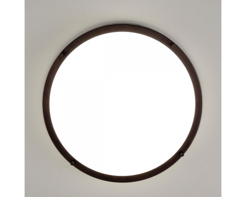 Сделать заказ Накладной светильник Citilux CL709505N| VIVID-LIGHT.RU