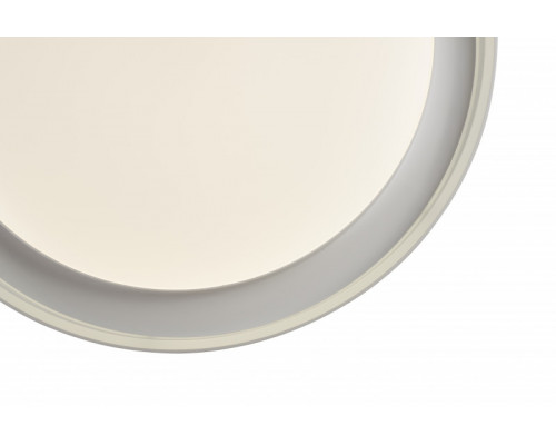 Оформить заказ Накладной светильник Denkirs DK6516-WH| VIVID-LIGHT.RU