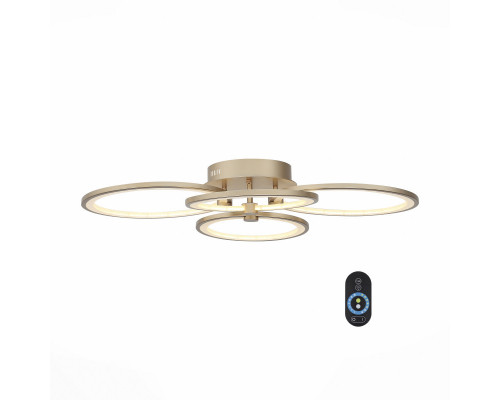 Сделать заказ Накладной светильник ST-Luce SL867.202.04| VIVID-LIGHT.RU