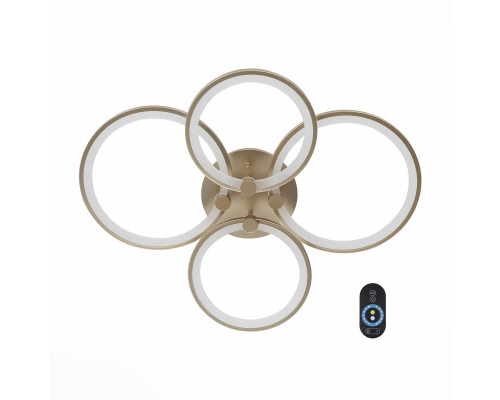 Сделать заказ Накладной светильник ST-Luce SL867.202.04| VIVID-LIGHT.RU