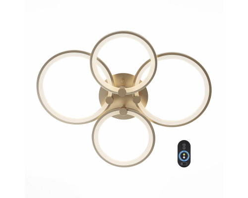 Сделать заказ Накладной светильник ST-Luce SL867.202.04| VIVID-LIGHT.RU