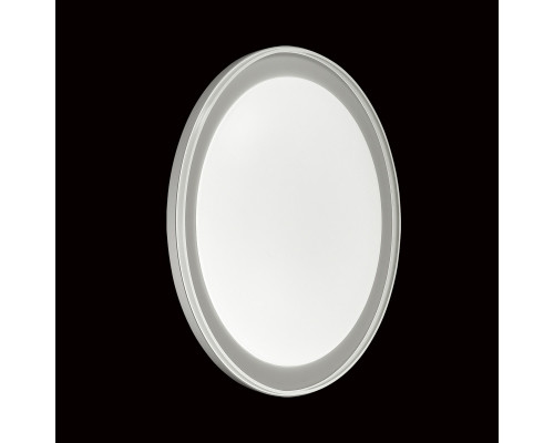 Оформить заказ Накладной светильник Sonex 2049/DL| VIVID-LIGHT.RU