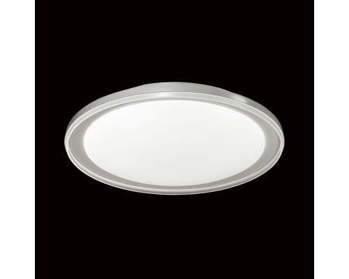 Оформить заказ Накладной светильник Sonex 2049/DL| VIVID-LIGHT.RU