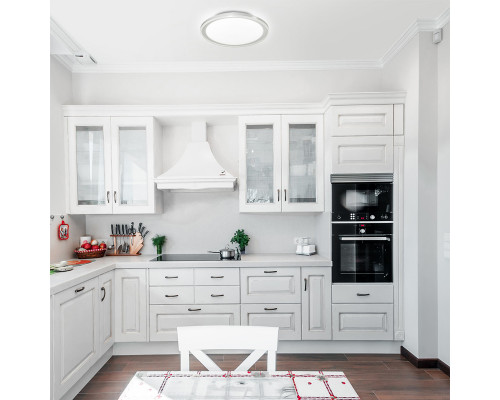 Оформить заказ Накладной светильник Sonex 2049/DL| VIVID-LIGHT.RU