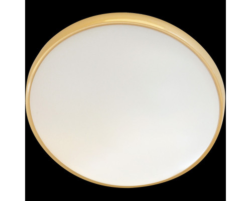 Оформить заказ Накладной светильник Adilux 0999| VIVID-LIGHT.RU