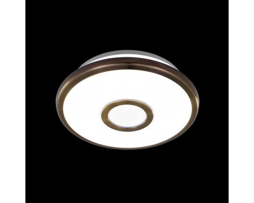 Сделать заказ Накладной светильник Citilux CL70313| VIVID-LIGHT.RU