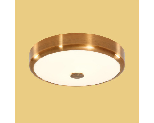 Сделать заказ Накладной светильник Citilux CL706132| VIVID-LIGHT.RU