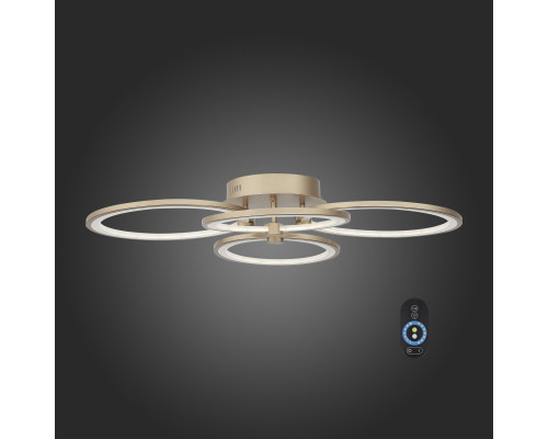 Сделать заказ Накладной светильник ST-Luce SL867.202.04| VIVID-LIGHT.RU