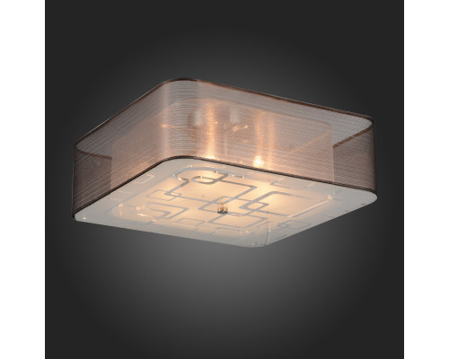 Оформить заказ Накладной светильник ST-Luce SL940.802.06| VIVID-LIGHT.RU