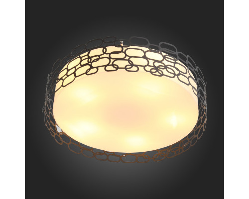 Оформить заказ Накладной светильник ST-Luce SL304.402.05| VIVID-LIGHT.RU