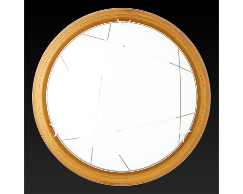 Купить Накладной светильник TOPLIGHT TL9013Y-02OA| VIVID-LIGHT.RU