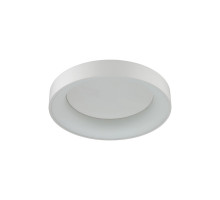 Накладной светильник Odeon Light 4066/40CL