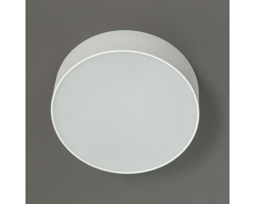 Сделать заказ Накладной светильник Citilux CL712120N| VIVID-LIGHT.RU