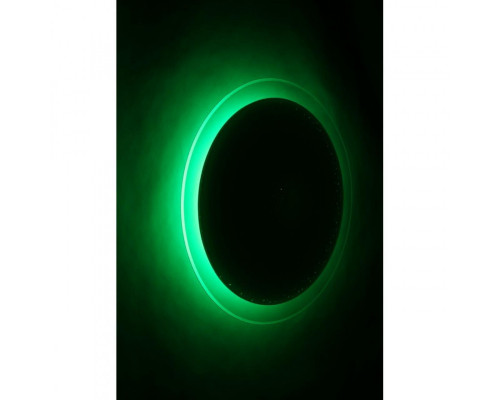 Сделать заказ Накладной светильник Omnilux OML-43107-60| VIVID-LIGHT.RU