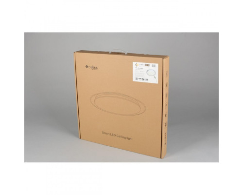 Сделать заказ Накладной светильник Omnilux OML-43107-60| VIVID-LIGHT.RU