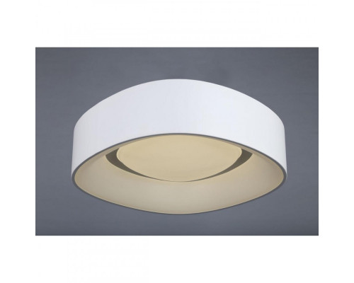 Сделать заказ Накладной светильник Omnilux OML-45207-51| VIVID-LIGHT.RU