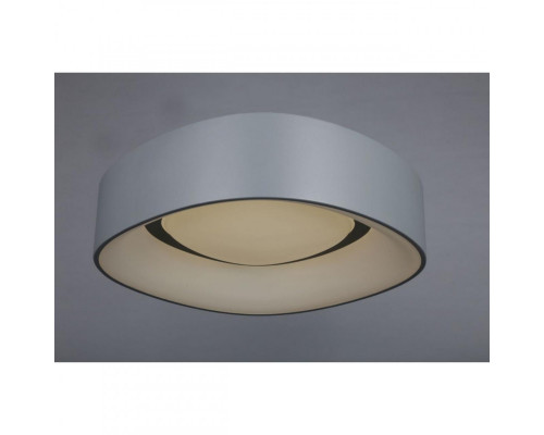 Сделать заказ Накладной светильник Omnilux OML-45217-51| VIVID-LIGHT.RU