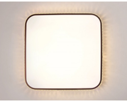 Заказать Накладной светильник Ambrella Light FF76| VIVID-LIGHT.RU