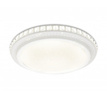 Накладной светильник Ambrella Light FF93