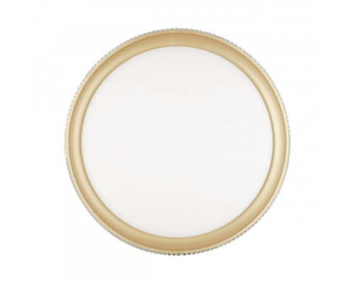 Заказать Накладной светильник Sonex 3054/DL| VIVID-LIGHT.RU