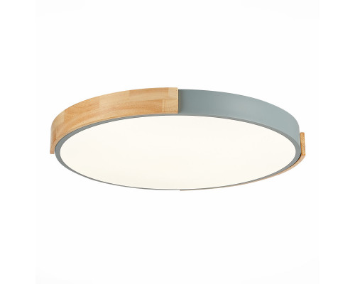 Купить Накладной светильник Evoluce SLE201372-01| VIVID-LIGHT.RU