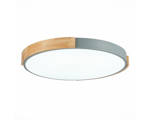 Купить Накладной светильник Evoluce SLE201372-01| VIVID-LIGHT.RU