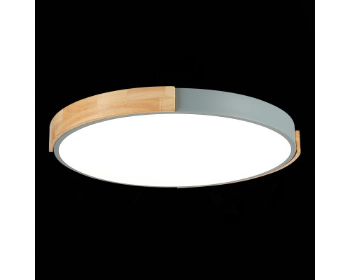 Купить Накладной светильник Evoluce SLE201372-01| VIVID-LIGHT.RU