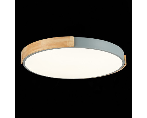 Купить Накладной светильник Evoluce SLE201372-01| VIVID-LIGHT.RU