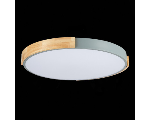 Купить Накладной светильник Evoluce SLE201372-01| VIVID-LIGHT.RU