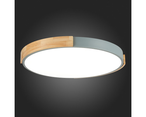 Купить Накладной светильник Evoluce SLE201372-01| VIVID-LIGHT.RU